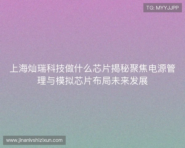 上海灿瑞科技做什么芯片揭秘聚焦电源管理与模拟芯片布局未来发展